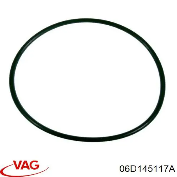 Прокладка вакуумного насосу VAG 06D145117A