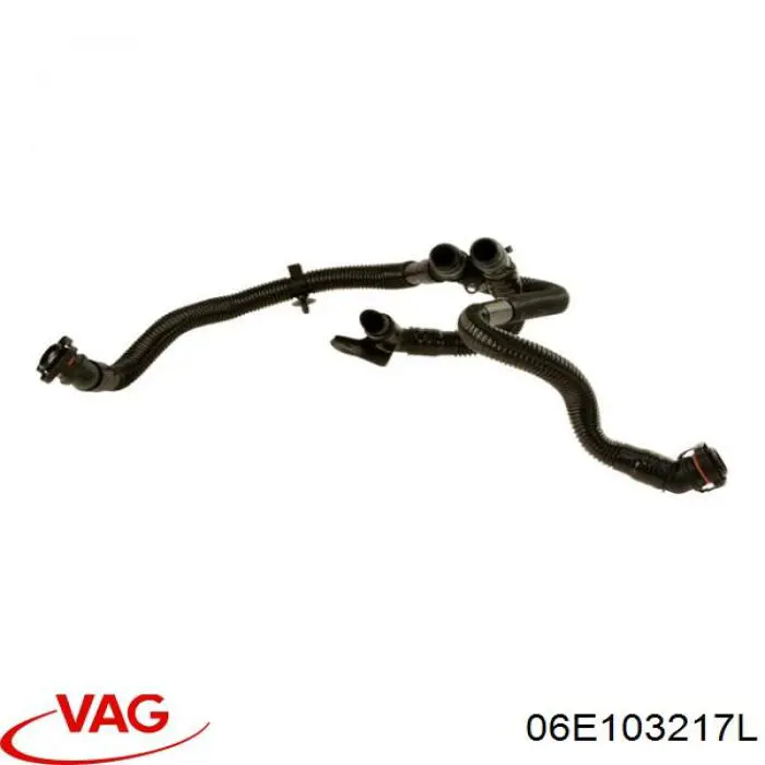 06E103217L VAG 
