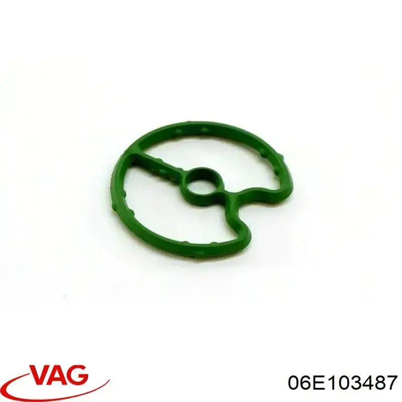 06E103487 VAG 