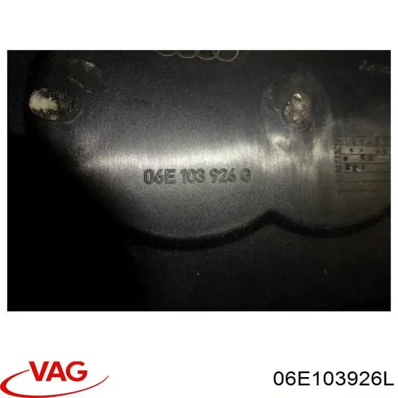 06E103926L VAG Екран двигуна