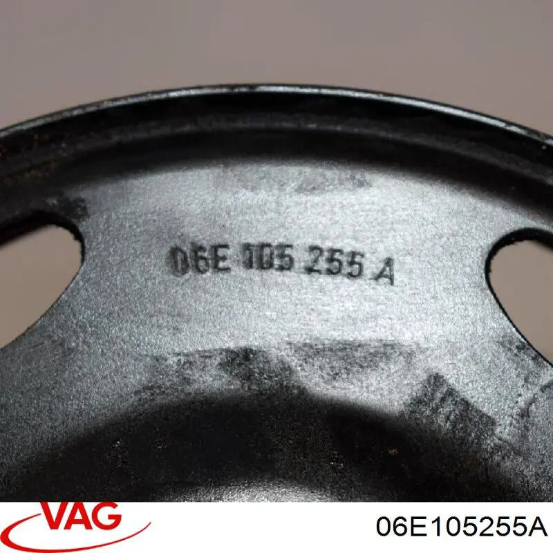  06E105255A VAG