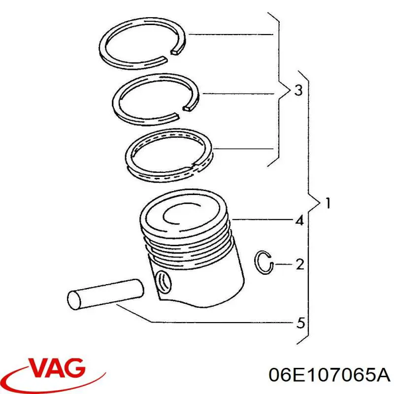 06E107065A VAG 