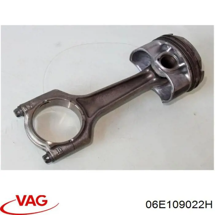 06E109022H VAG 