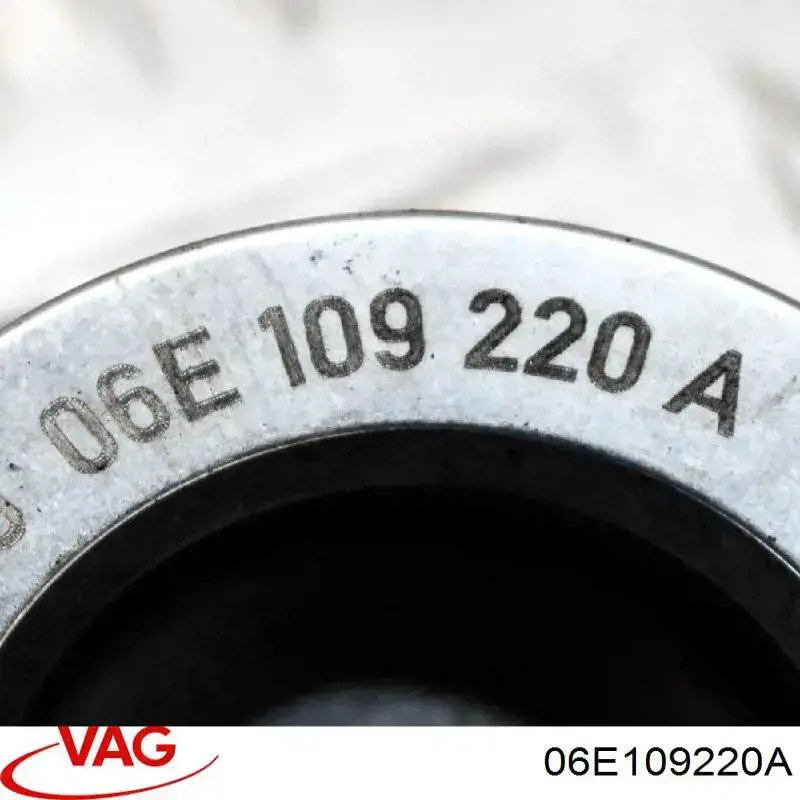  06E109220A VAG
