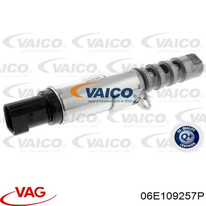 06E109257P VAG клапан електромагнітний положення (фаз розподільного валу)
