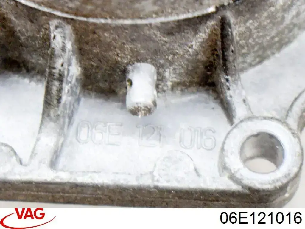 06E121016 VAG 