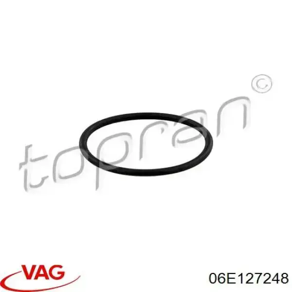 06E127248 VAG Ущільнювач паливного насоса