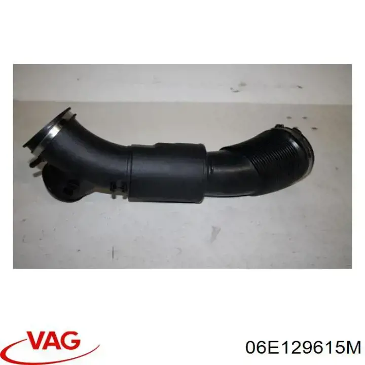  06E129615M VAG