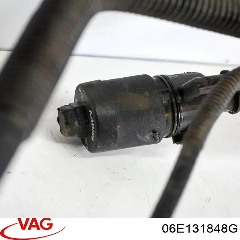  06E131848G VAG