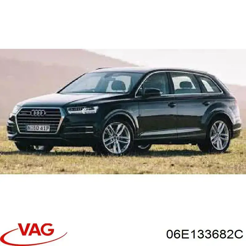 Купити 06E133682C VAG Розподільник палива (рампа) правий