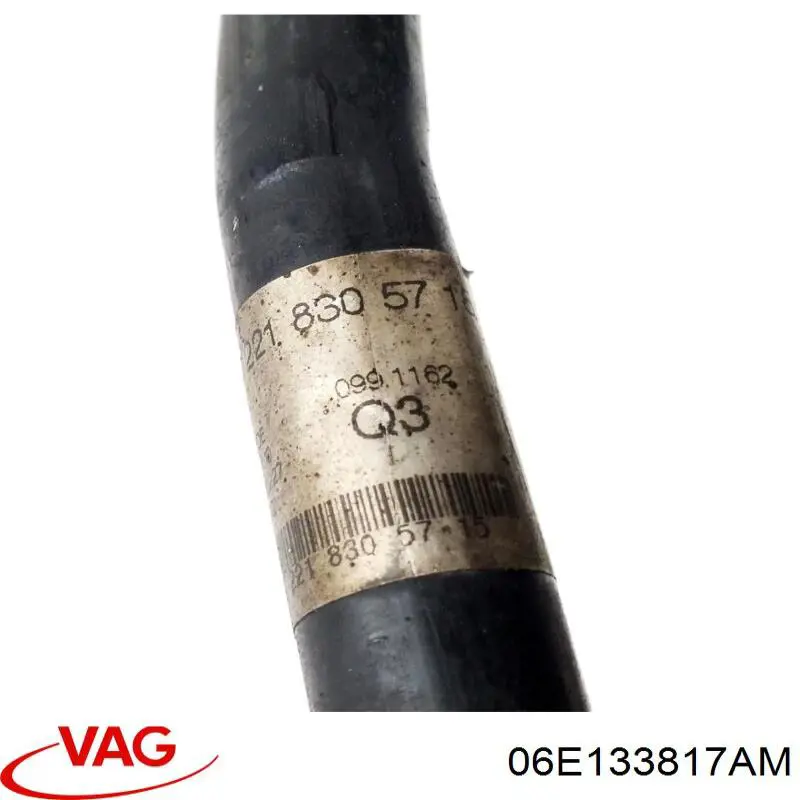 06E133817AM VAG 