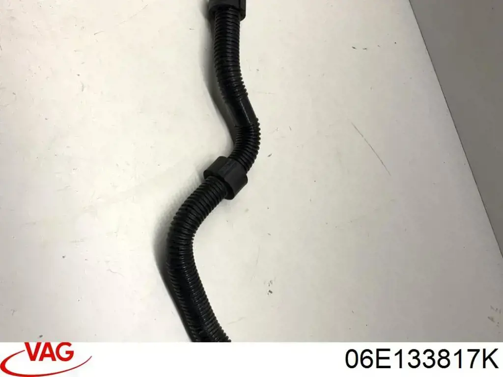 06E133817K VAG 