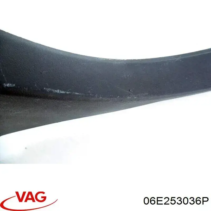 06E253036P VAG 
