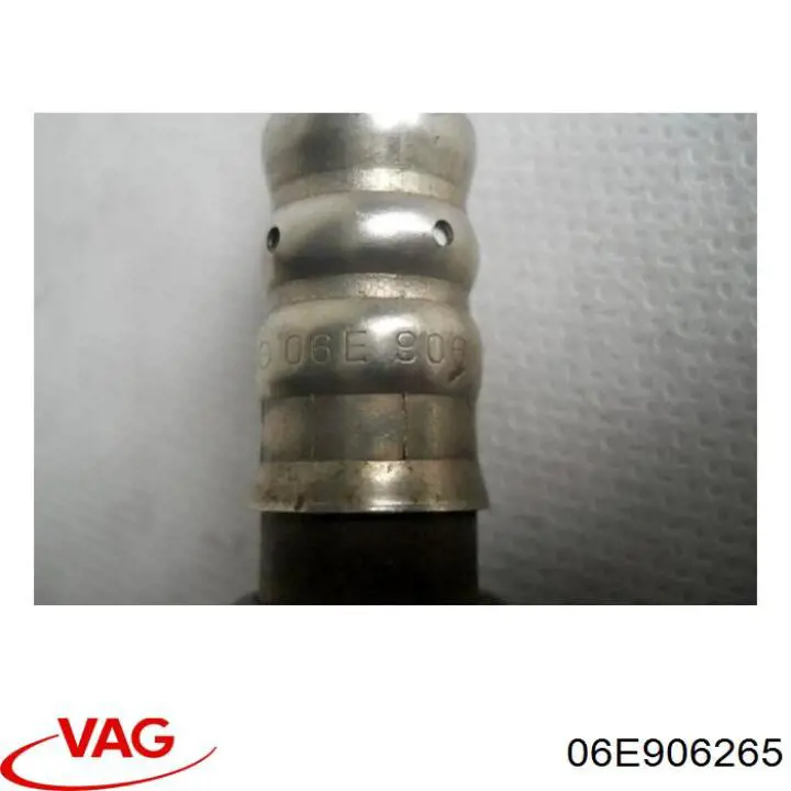 06E906265 VAG