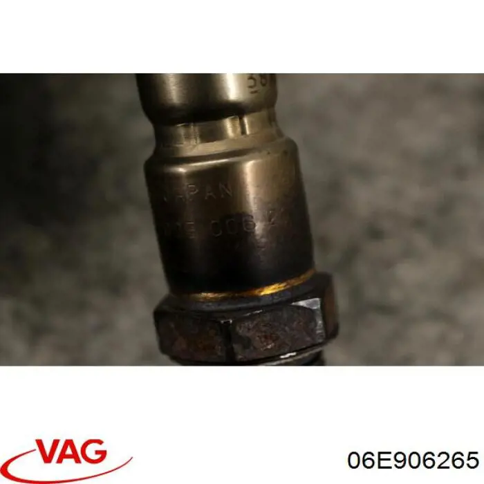  VAG 06E906265