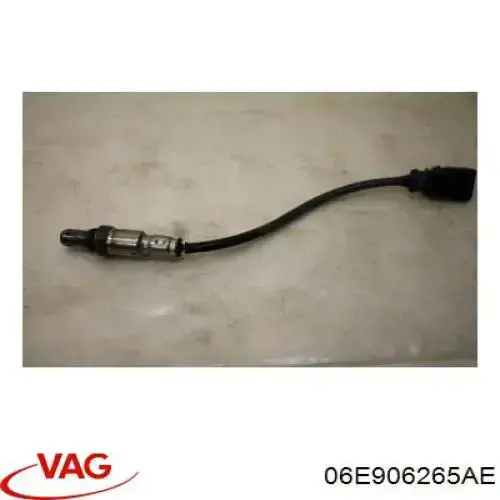  VAG 06E906265AE