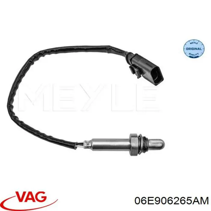 Купити 06E906265AM VAG 