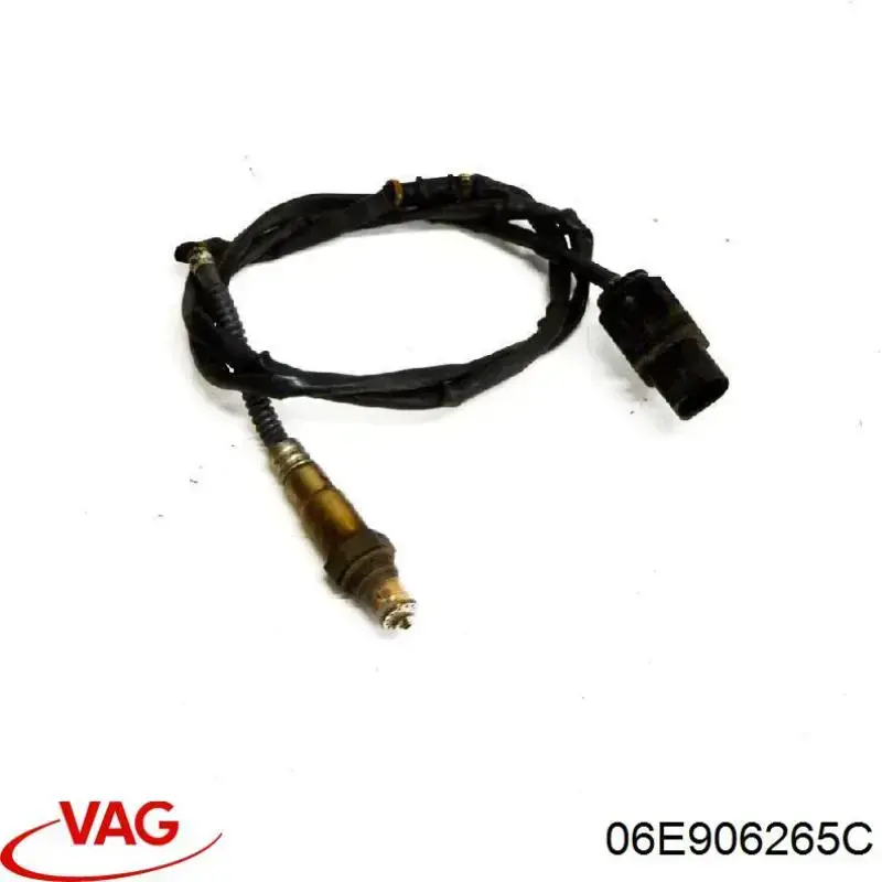  06E906265C VAG