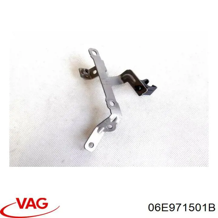 06E971501B VAG 