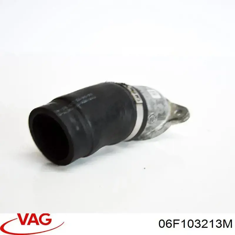  06F103213M VAG