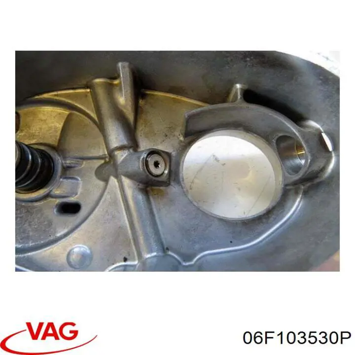  VAG 06F103530P