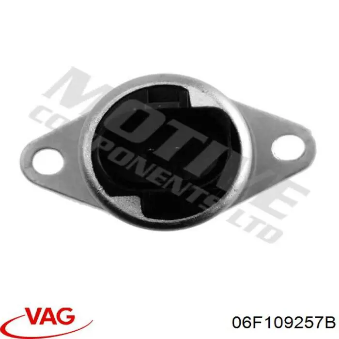 Клапан фазорегулятора 06F109257B VAG