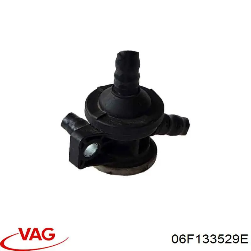 06F133529E VAG 