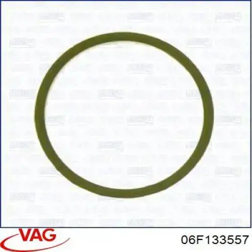 Купити 06F133557 VAG 