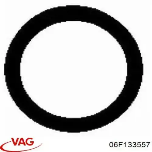  06F133557 VAG