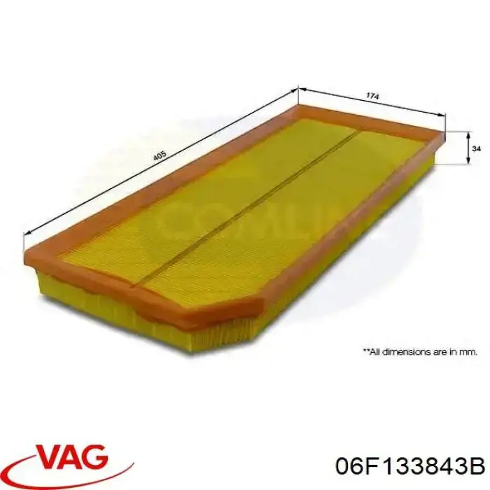 Фільтр повітряний VAG 06F133843B