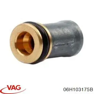 06H103175B VAG клапан зворотний масляної системи