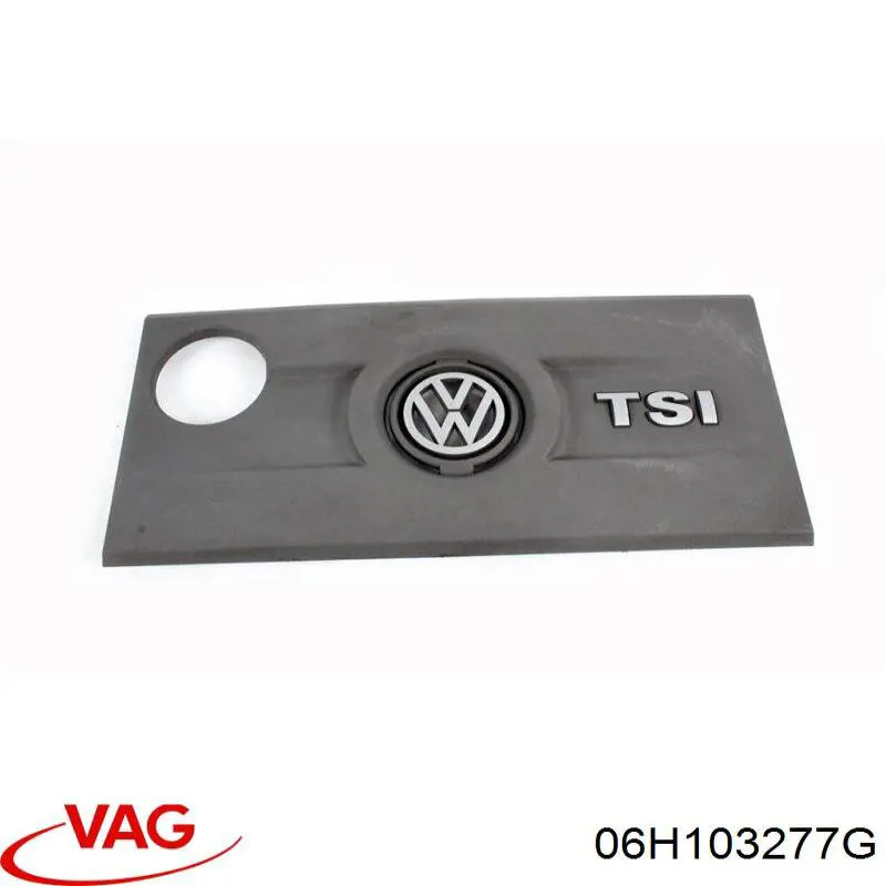  06H103277G VAG