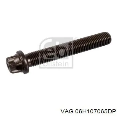 06H107065DP VAG 