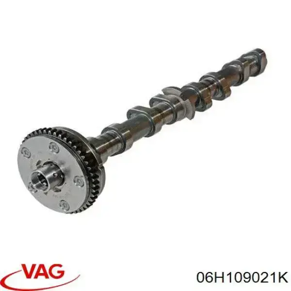 Шток двигуна, впускний VAG 06H109021K ціна, від 262.25 USD