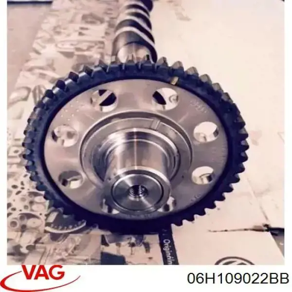 Купити 06H109022BB VAG Розподільний вал двигуна випускний