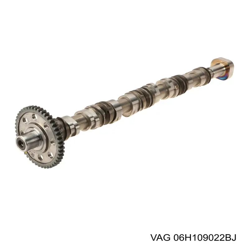 Розподільний вал двигуна випускний VAG 06H109022BJ ціна, від 732.39 USD
