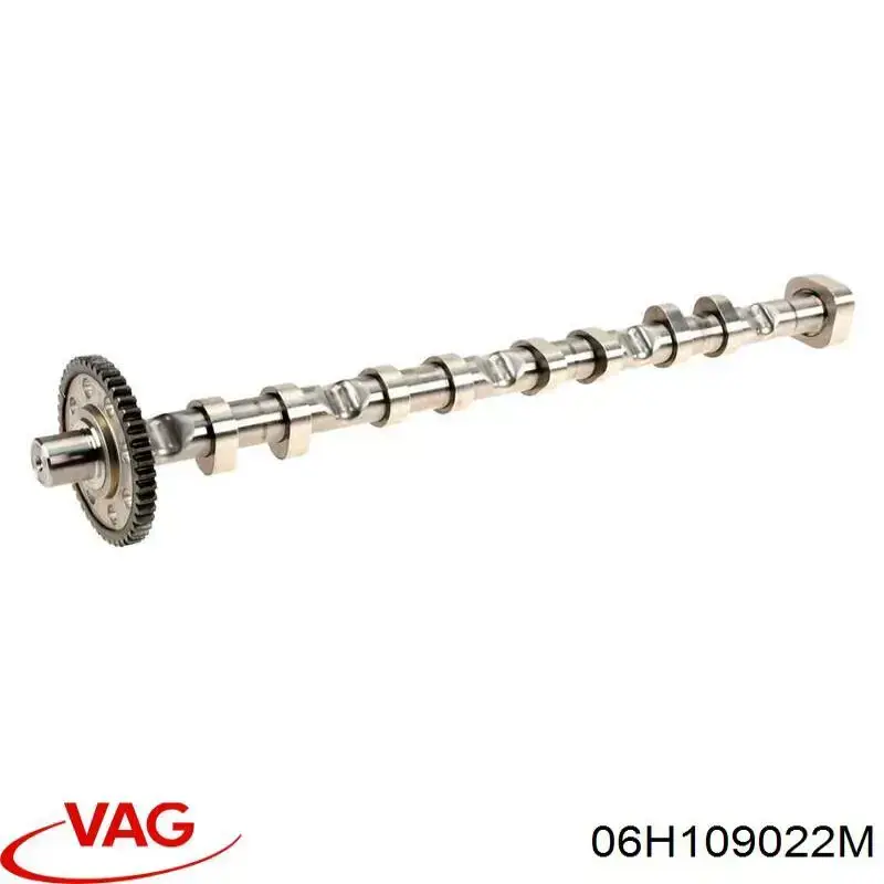 06H109022M VAG Шток двигуна, випускний