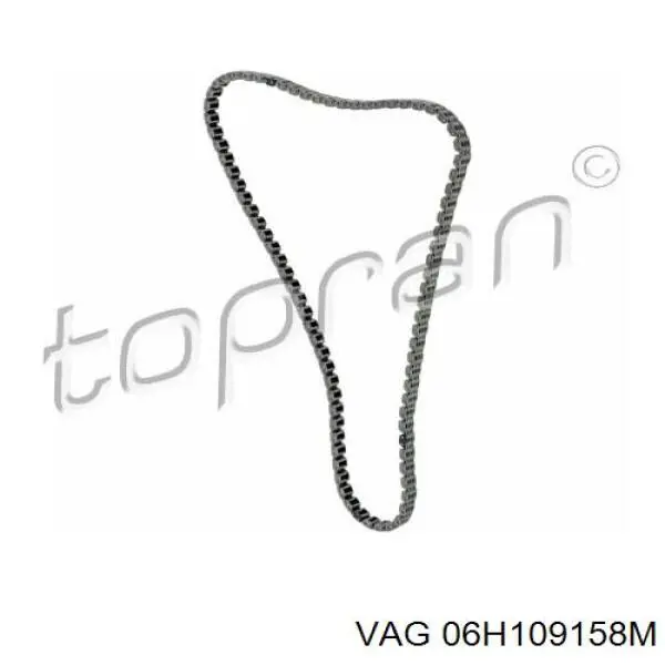 Ланцюг VAG 06H109158M ціна, від 68.88 USD