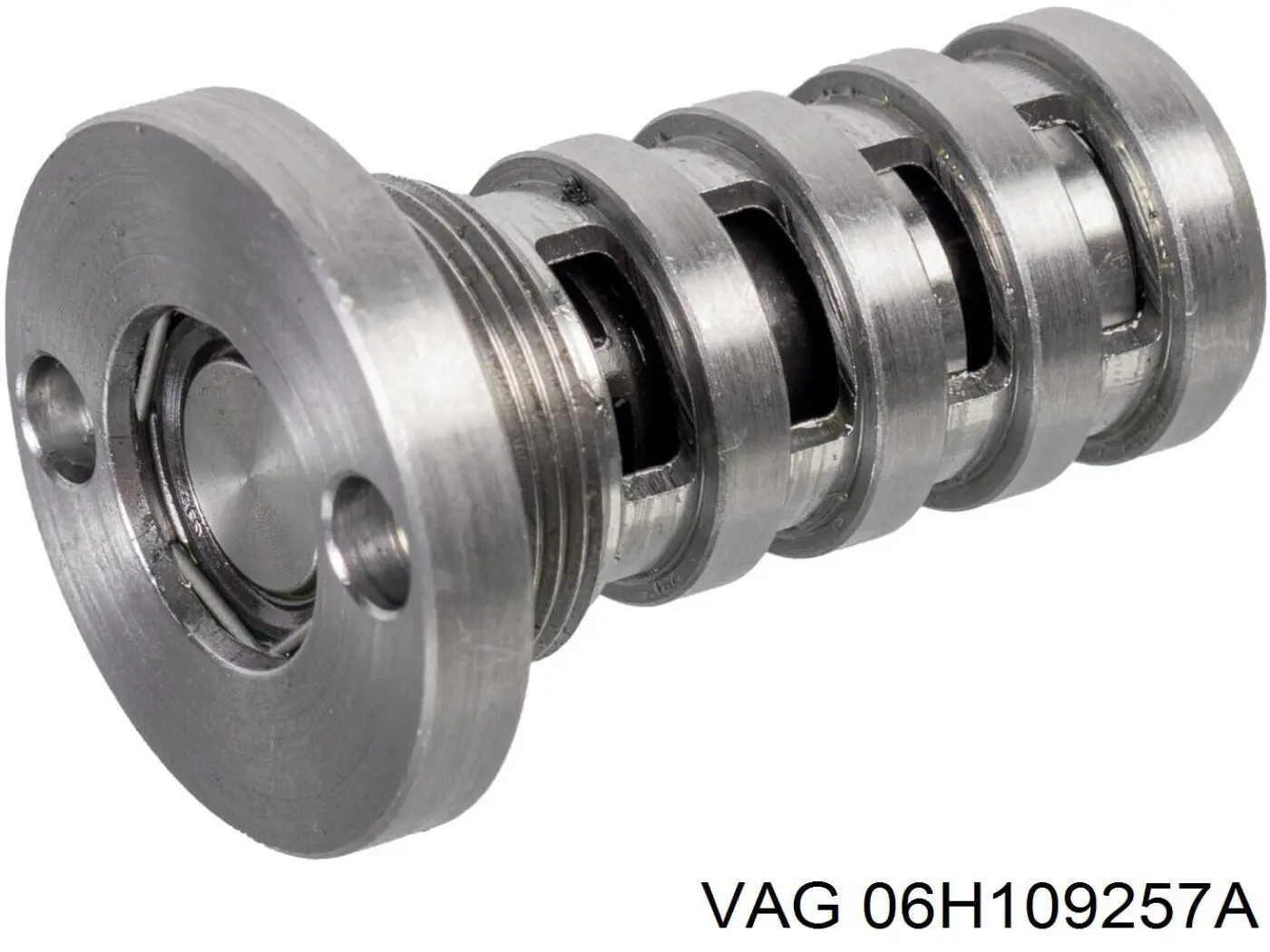 Гідравлічний болт фаз газорозподілу VAG 06H109257A