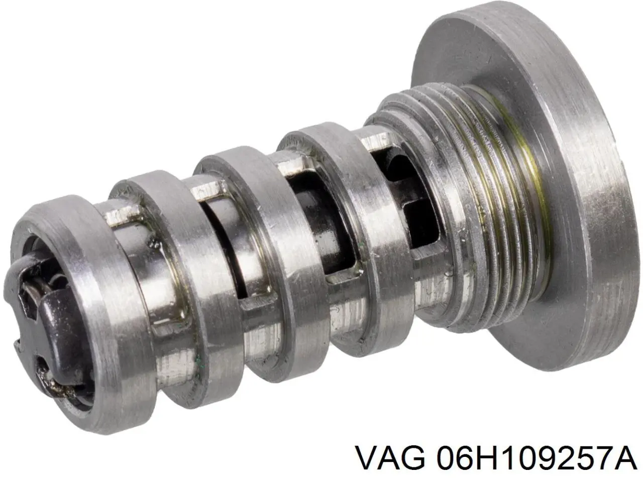 06H109257A VAG Гідравлічний болт фаз газорозподілу