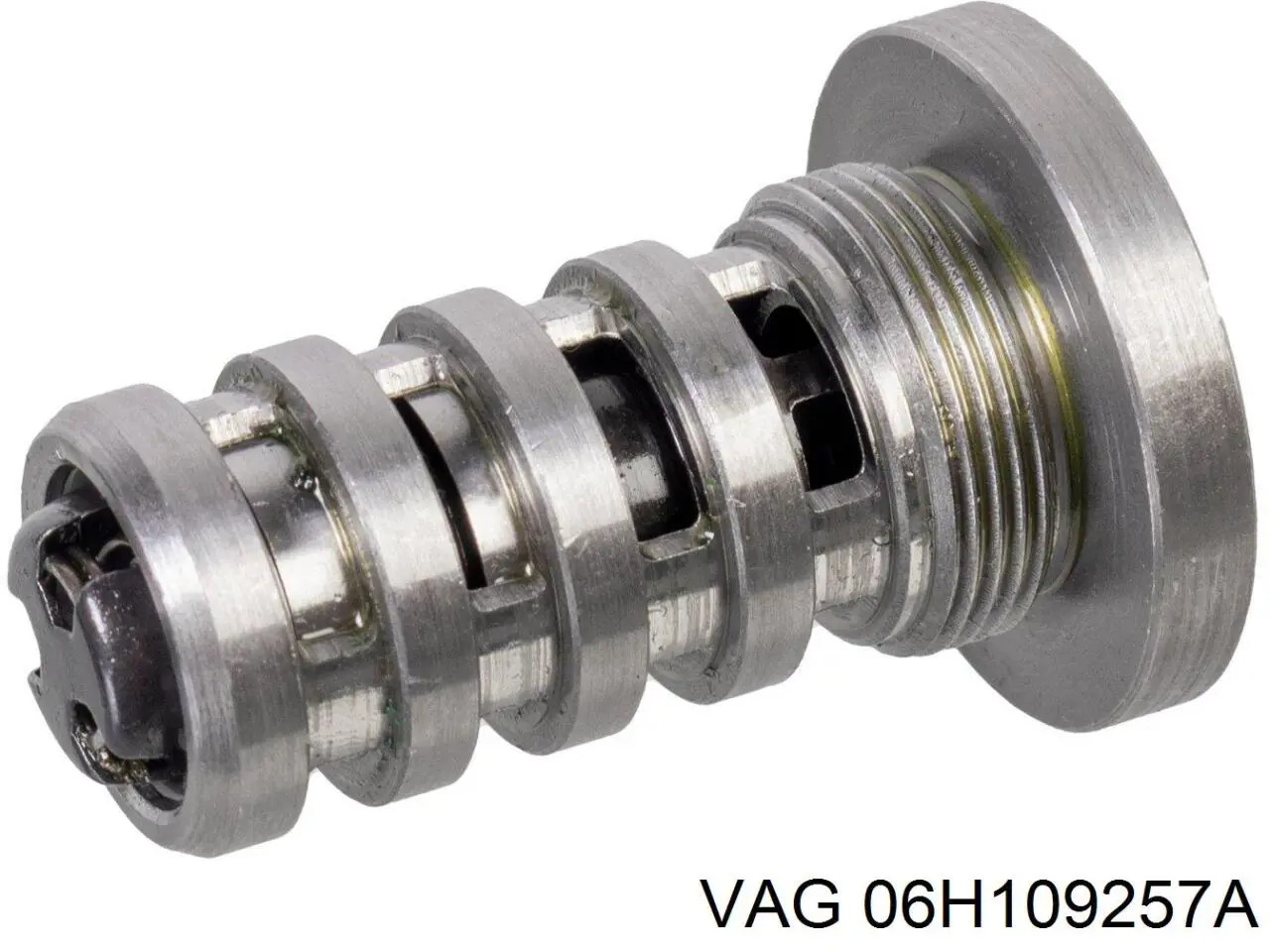 Купити 06H109257A VAG Гідравлічний болт фаз газорозподілу