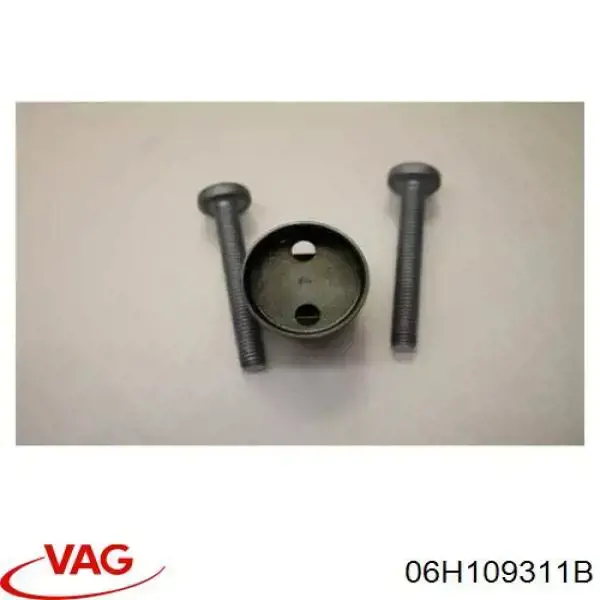 Купити 06H109311B VAG Штовхач паливного насосу