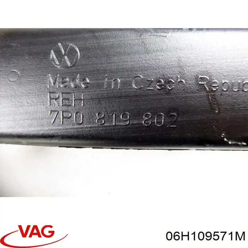06H109571M VAG 