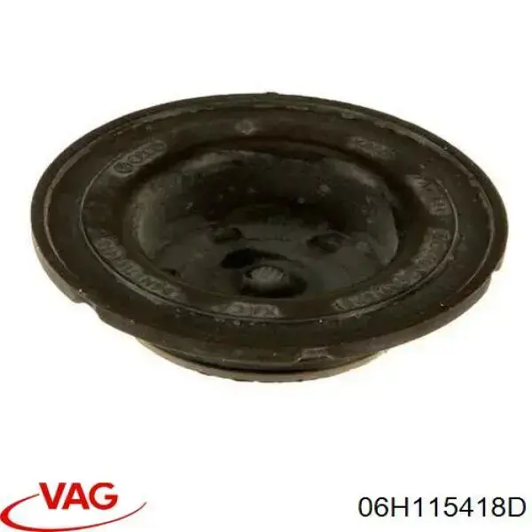 Купити 06H115418D VAG Заглушка блоку циліндрів