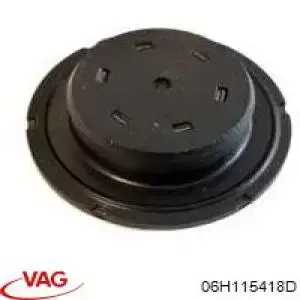 Заглушка ГБЦ/блоку циліндрів VAG 06H115418D ціна, від 3.19 USD