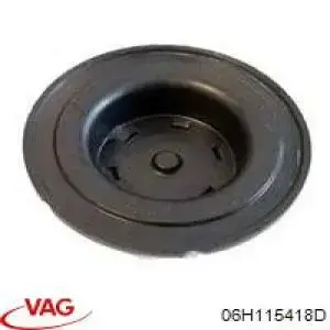 Купити 06H115418D VAG Заглушка блоку циліндрів