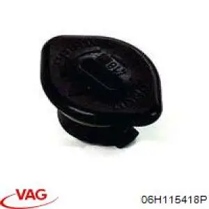 Заглушка клапанної кришки Borsehung B10666 ціна, від 3.24 USD