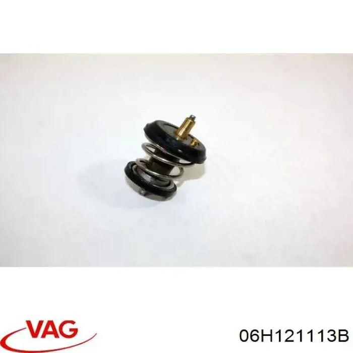 06H121113B VAG Авто термостат