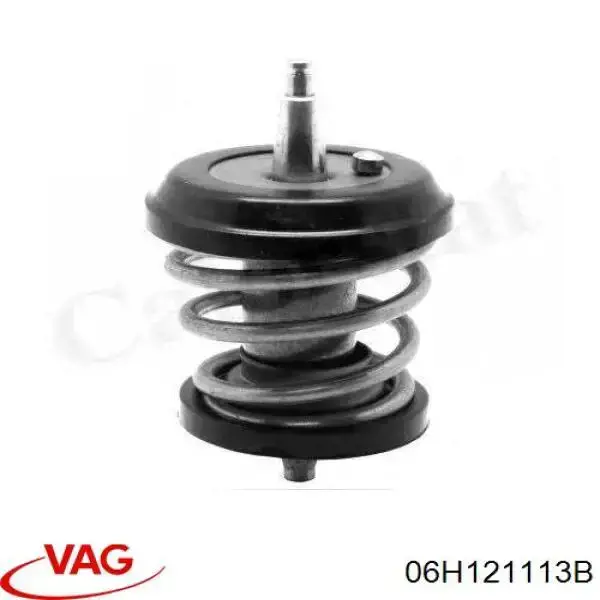 Купити 06H121113B VAG Термостат в корпусі