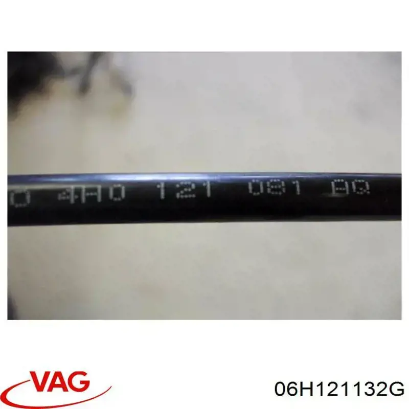 06H121132G VAG 